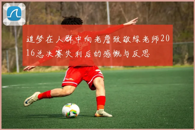 追梦在人群中向老詹致敬绿老师2016总决赛失利后的感慨与反思