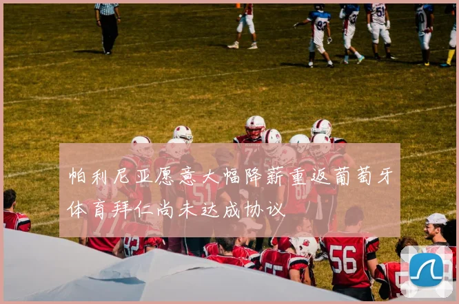帕利尼亚愿意大幅降薪重返葡萄牙体育拜仁尚未达成协议