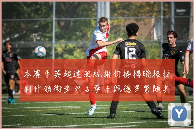 本赛季英超造犯规排行榜揭晓格拉利什领衔多尔古萨卡佩德罗紧随其后